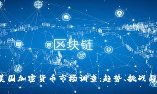 2023年美国加密货币市场调查：趋势、挑战与未来展望