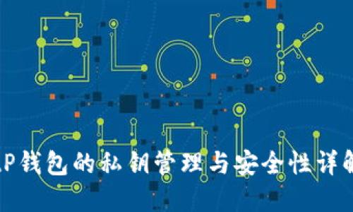 tP钱包的私钥管理与安全性详解