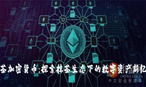 抹茶加密货币：探索抹茶生态下的数字资产新纪元