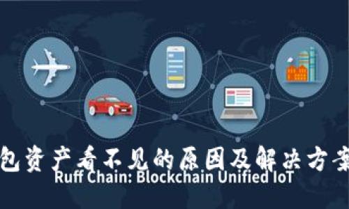 TP钱包资产看不见的原因及解决方案详解