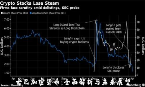 
古巴加密货币：全面解析与未来展望