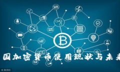 2023年美国加密货币使用现状与未来趋势分析