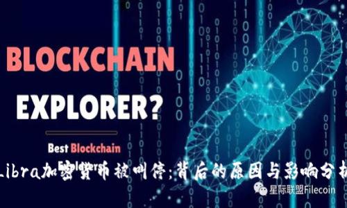 Libra加密货币被叫停：背后的原因与影响分析