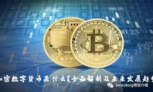 加密数字货币是什么？全面解析及未来发展趋势