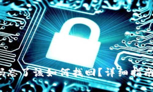 t p钱包密码忘了该如何找回？详细指南与解决方案