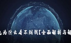 t p钱包为什么看不到钱？全面解析与解决方案