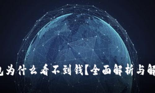 t p钱包为什么看不到钱？全面解析与解决方案