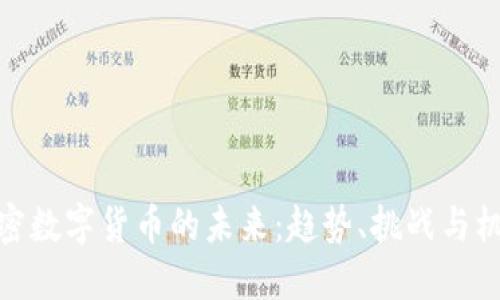 加密数字货币的未来：趋势、挑战与机遇