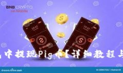  如何在TP钱包中提现Pig币？详细教程与常见问题