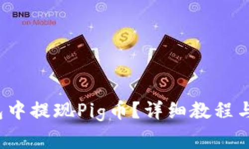  如何在TP钱包中提现Pig币？详细教程与常见问题解答