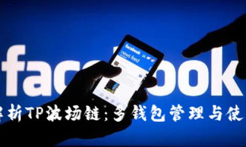 深入解析TP波场链：多钱包管理与使用指南