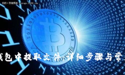 如何从TP钱包中提取文件：详细步骤与常见问题解答