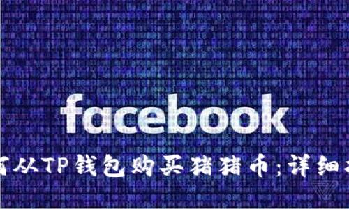 如何从TP钱包购买猪猪币：详细指南