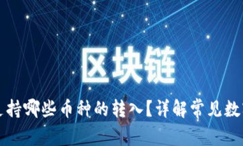 TP钱包生态链支持哪些币种的转入？详解常见数字货币及其特点