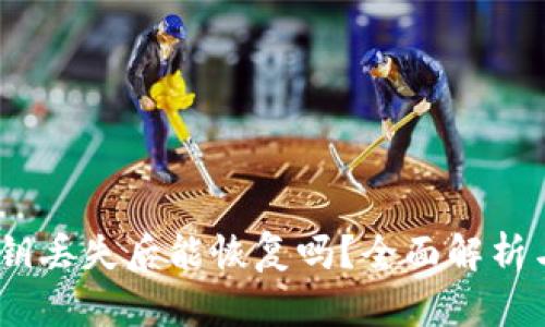 :TP钱包私钥丢失后能恢复吗？全面解析与应对策略