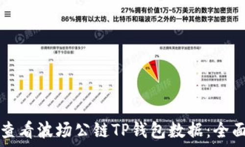  
如何查看波场公链TP钱包数据：全面指南