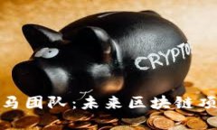 揭秘加密货币黑马团队：未来区块链项目的潜力