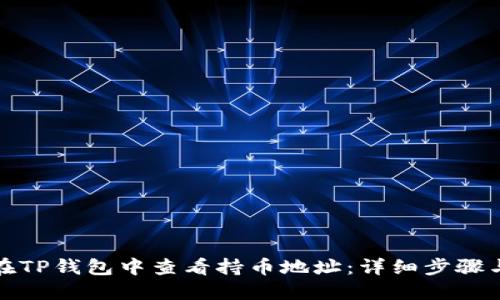 如何在TP钱包中查看持币地址：详细步骤与技巧