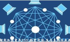 全面解析加密货币BNB：投资价值、生态系统及未