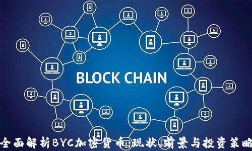 
全面解析BYC加密货币：现状、前景与投资策略