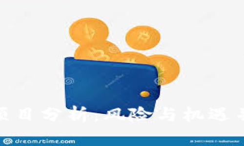 加密货币争议项目分析：风险与机遇并存的投资选择