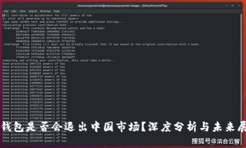 TP钱包是否会退出中国市场？深度分析与未来展望