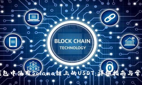 如何在TP钱包中使用Solana链上的USDT：详细指南与常见问题解答