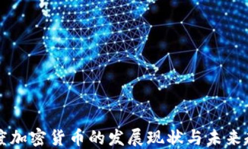 
印度加密货币的发展现状与未来趋势