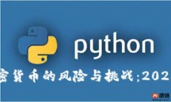 揭开虚拟加密货币的风险与挑战：2023年全面分析