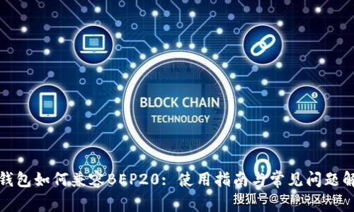 TP钱包如何兼容BEP20: 使用指南与常见问题解答