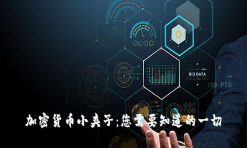 加密货币小夹子：您需要知道的一切