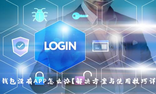 TP钱包没有APP怎么办？解决方案与使用技巧详解