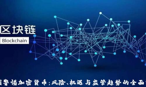 
时刻警惕加密货币：风险、机遇与监管趋势的全面分析
