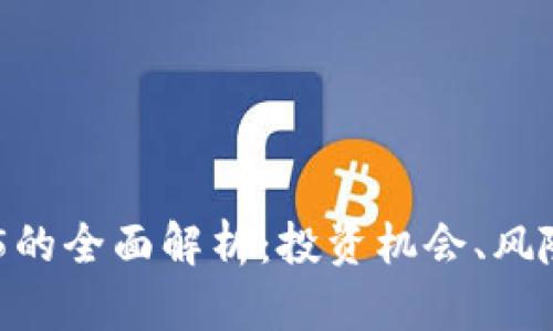 加密货币315的全面解析：投资机会、风险及未来趋势