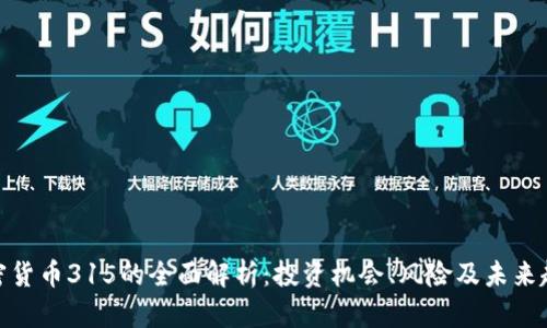 加密货币315的全面解析：投资机会、风险及未来趋势