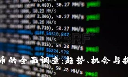 加密货币的全面调查：趋势、机会与挑战分析