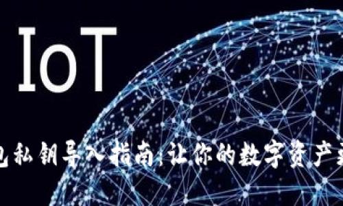 TP钱包私钥导入指南：让你的数字资产更安全
