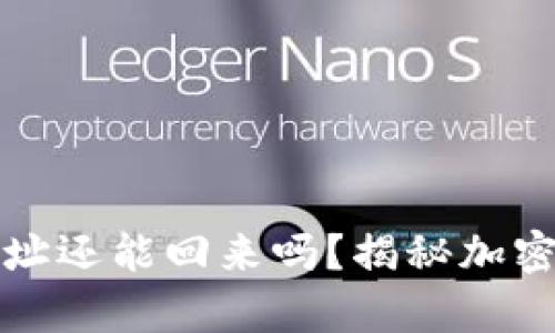 : TP钱包转错地址还能回来吗？揭秘加密货币转账的真相