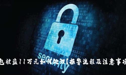 TP钱包被盗11万元如何处理？报警流程及注意事项详解