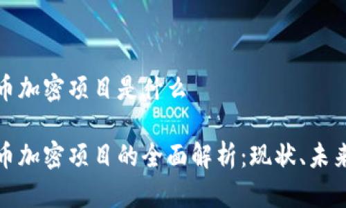 韩国货币加密项目是什么

韩国货币加密项目的全面解析：现状、未来与影响