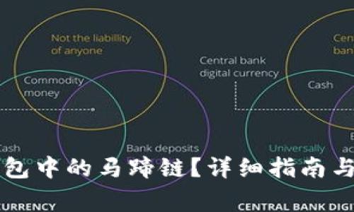 如何寻找TP钱包中的马蹄链？详细指南与常见问题解析
