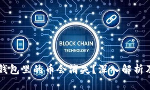 为什么TP钱包里的币会消失？深入解析及解决方案