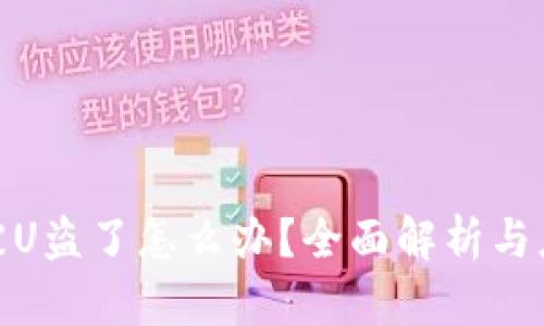 tP钱包被U盗了怎么办？全面解析与应对措施
