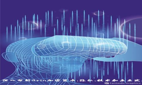 : 深入分析Grin加密货币：隐私、技术和未来发展