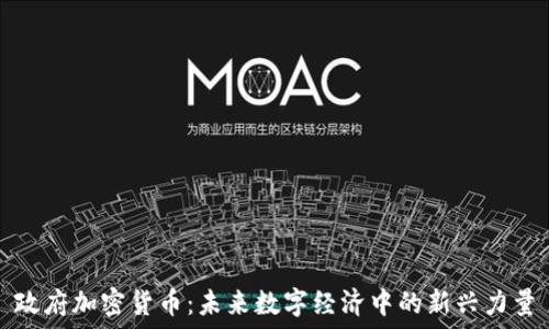   
政府加密货币：未来数字经济中的新兴力量