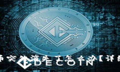 : TP钱包里的币突然消失了怎么办？详细解决方案解析