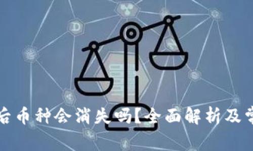 TP钱包更新后币种会消失吗？全面解析及常见问题解答