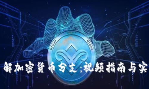 全面了解加密货币分支：视频指南与实践应用