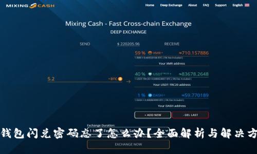 TP钱包闪兑密码忘了怎么办？全面解析与解决方案