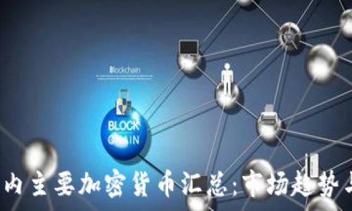   
2023年国内主要加密货币汇总：市场趋势与前景分析